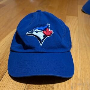 Blue Embroidered Baseball Cap